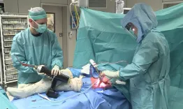 Virtual fellowship with Kristoff Corten: efficiency in orthopedics